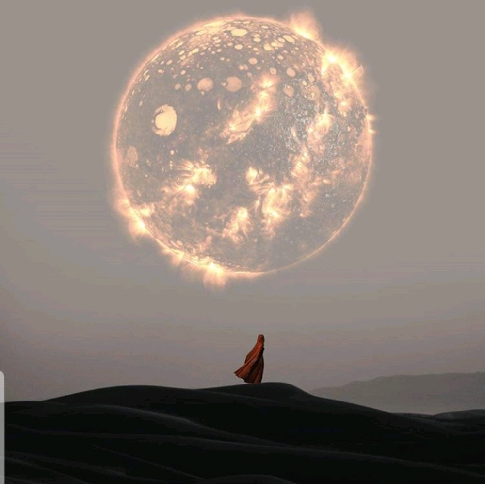 Meet your Posher, Roberta